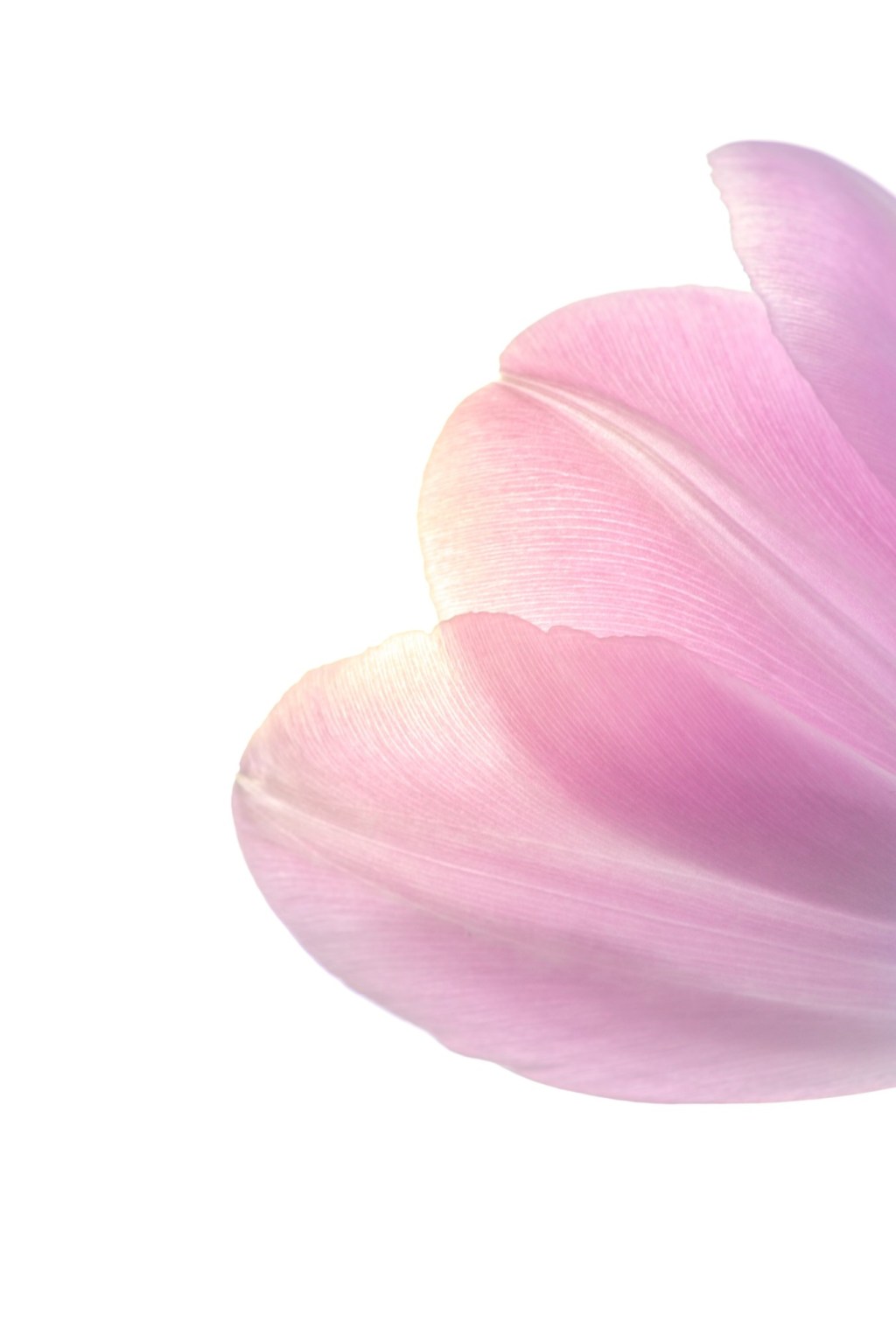 La perversion narcissique : un sujet qui intéresse toujours&nbsp;autant